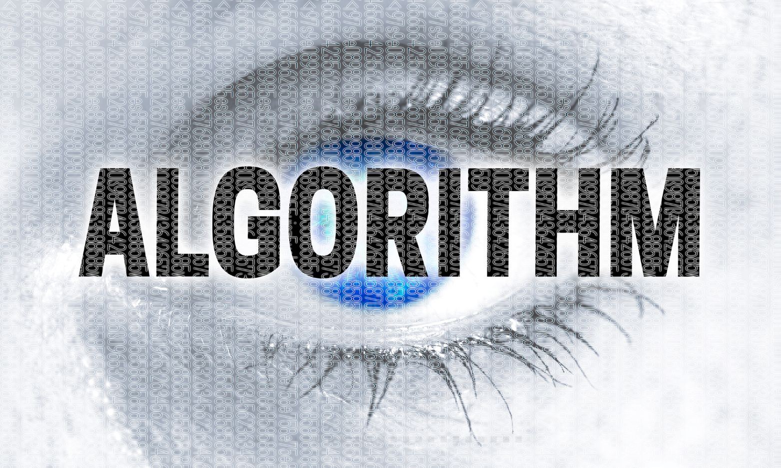Google algorithm